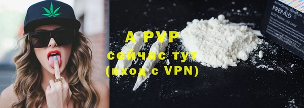 хмурый Осинники