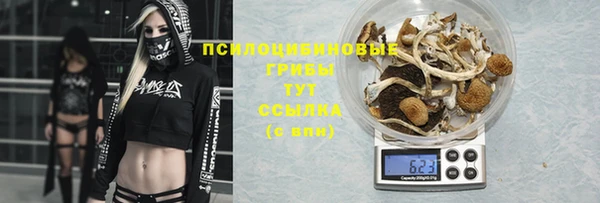 прущая мука Переславль-Залесский