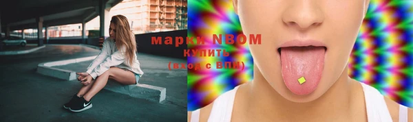хмурый Осинники