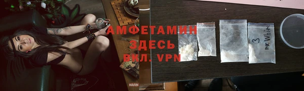 хмурый Осинники