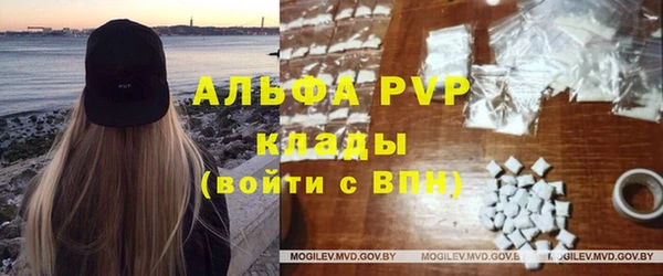 хмурый Осинники