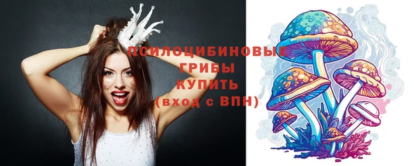 хмурый Осинники