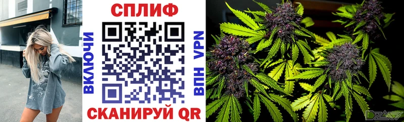 купить закладку  Тюкалинск  Конопля OG Kush 